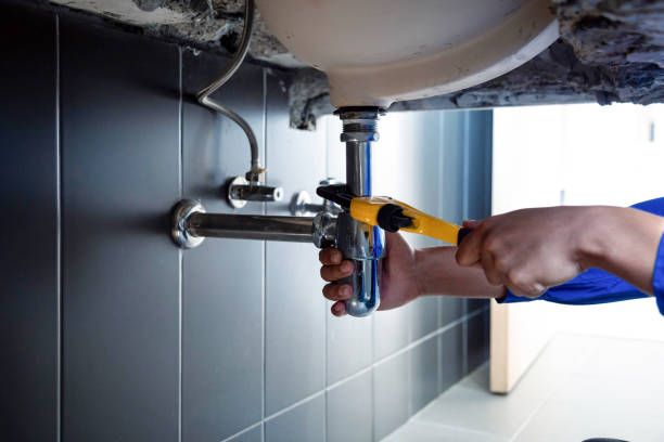 Best Residential Plumbing Services  in Roswell, NM